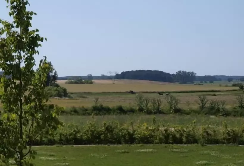 Alte Schmiede