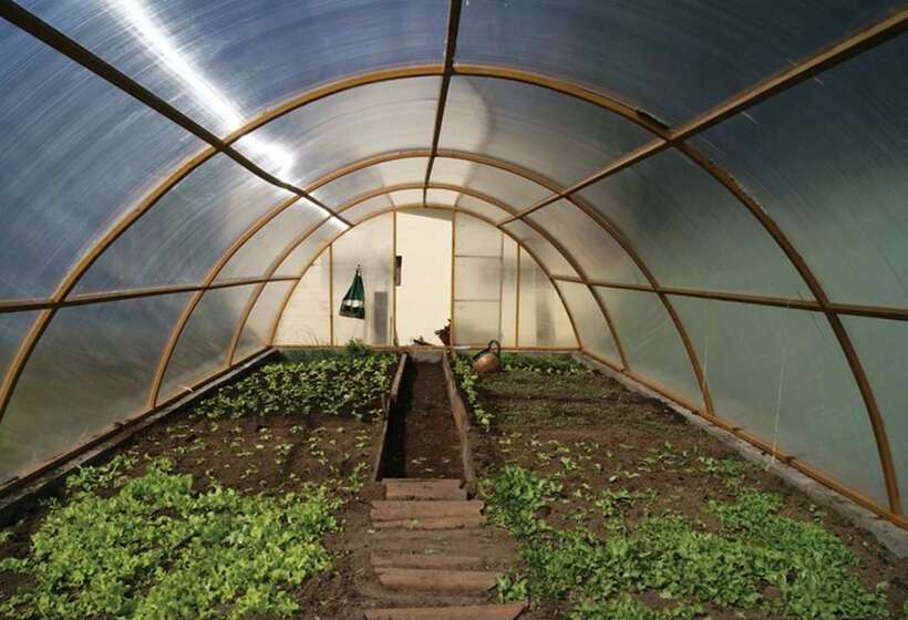 Estancia Rio De Los Ciervos