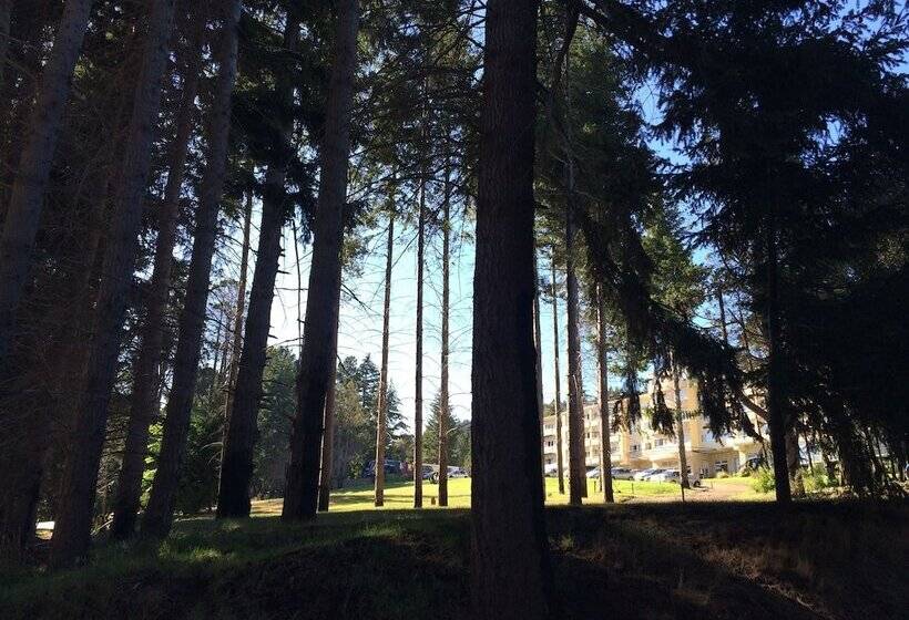 فندق Huinid Pioneros