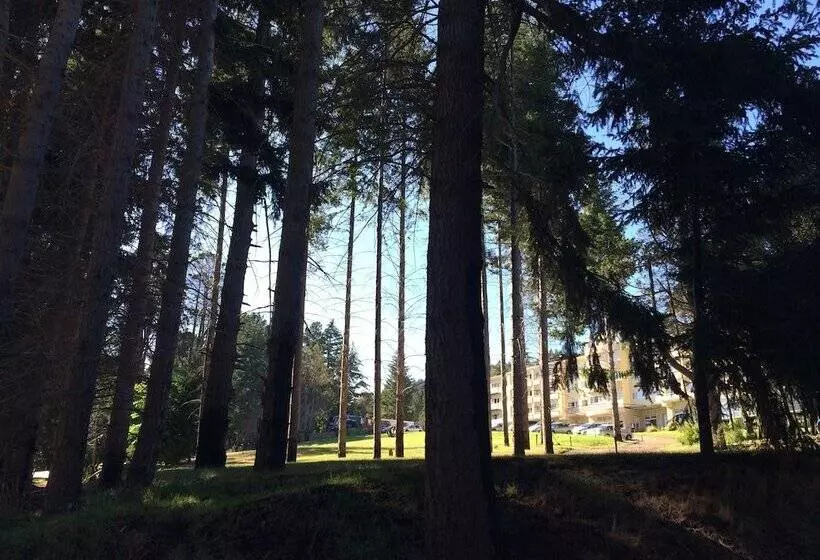 فندق Huinid Pioneros