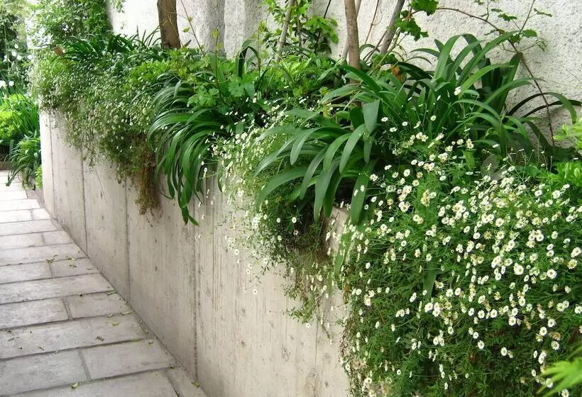 ホテル Meridiano Sur Petit