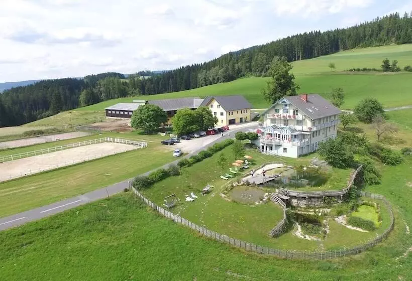 Hotelli Narnhoferwirt