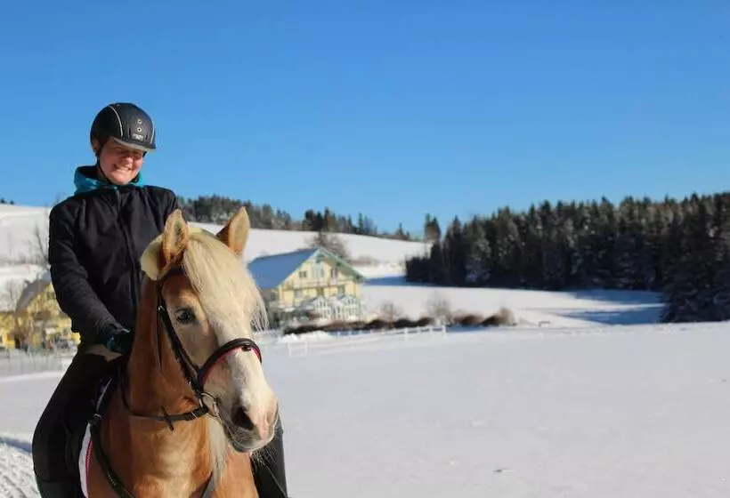 Hotelli Narnhoferwirt