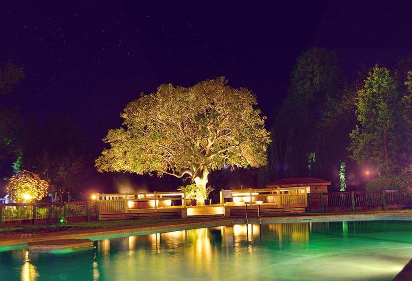 בית מלון כפרי Pucon Green Park