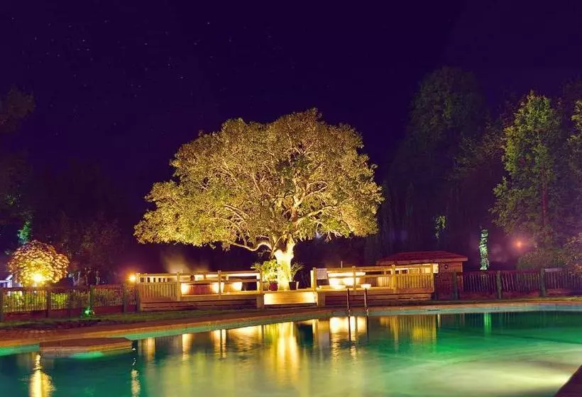 ホテル Pucon Green Park