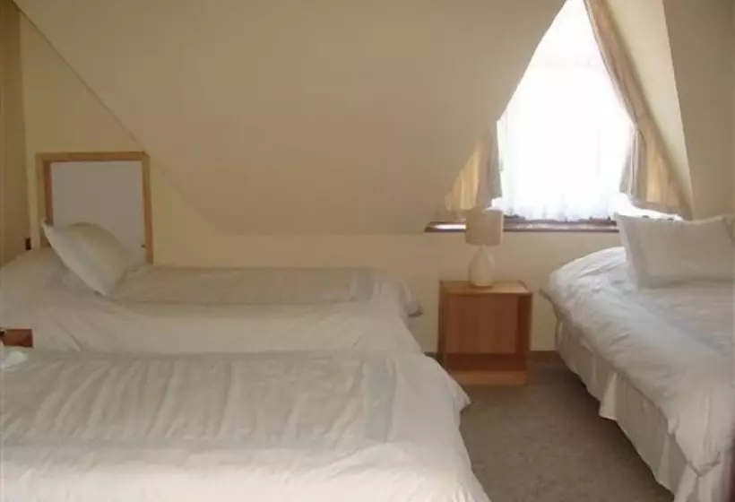 Отель Seminario