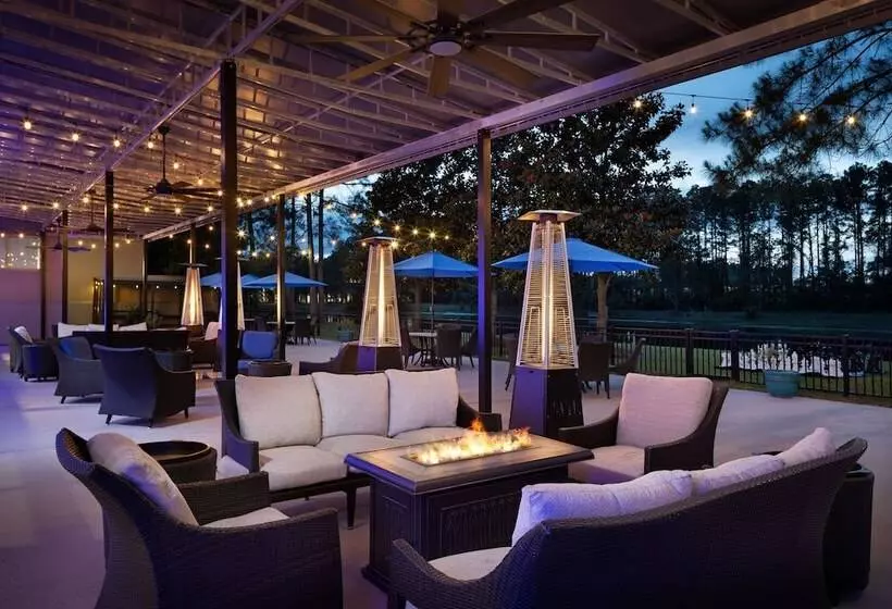 酒店 Sheraton Jacksonville