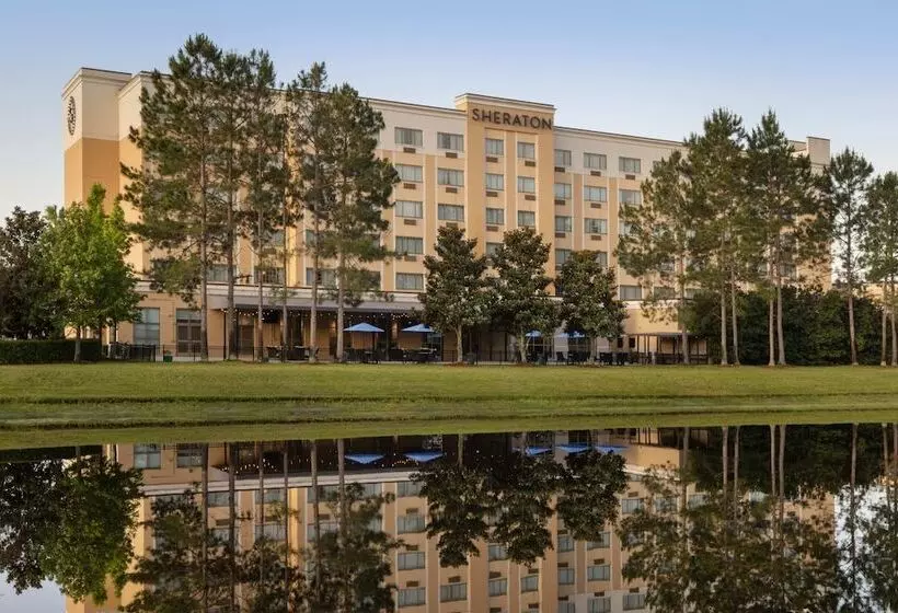 酒店 Sheraton Jacksonville