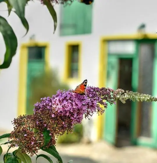 Landhotel Schwarzer Adler