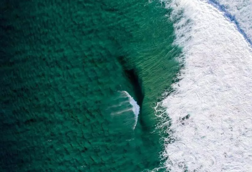 리조트 Lakeside Forster Holiday Park And Village