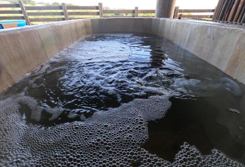 住宿加早餐  Esfera Pichilemu   Lodge