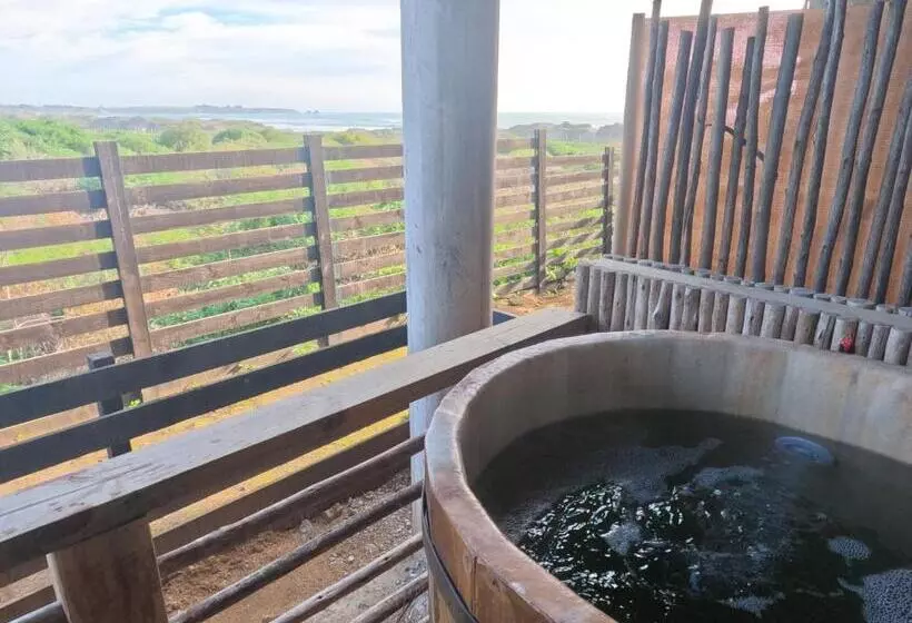 تختخواب و صبحانه Esfera Pichilemu   Lodge