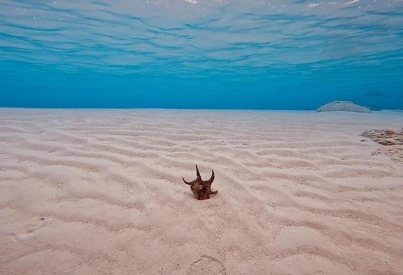 پانسیون Konut By Thakuru