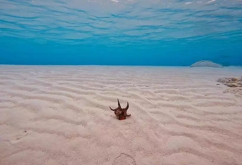 پانسیون Konut By Thakuru