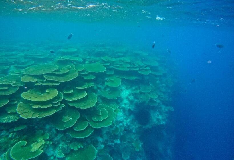 پانسیون Konut By Thakuru