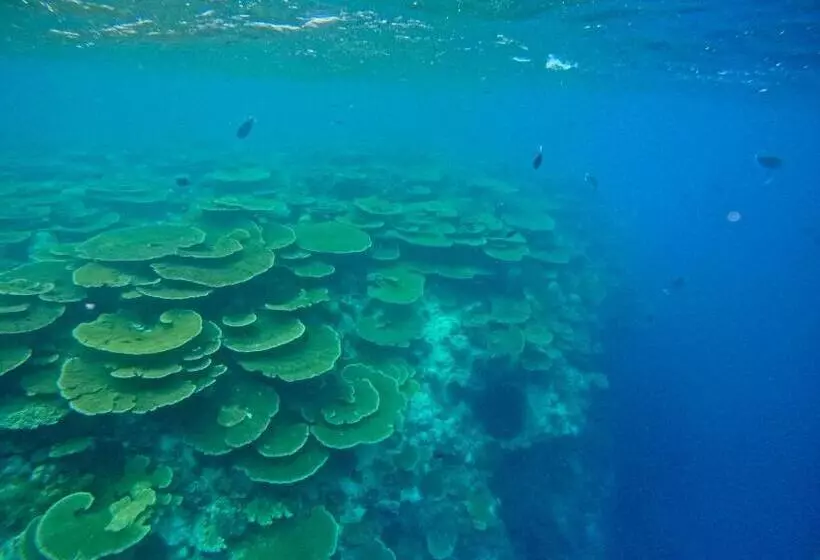 پانسیون Konut By Thakuru