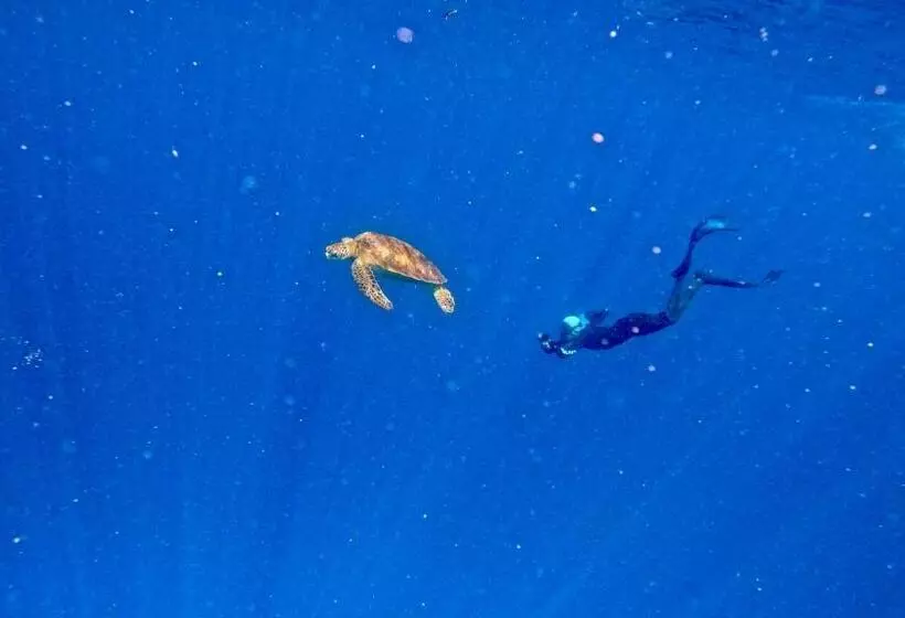 پانسیون Konut By Thakuru