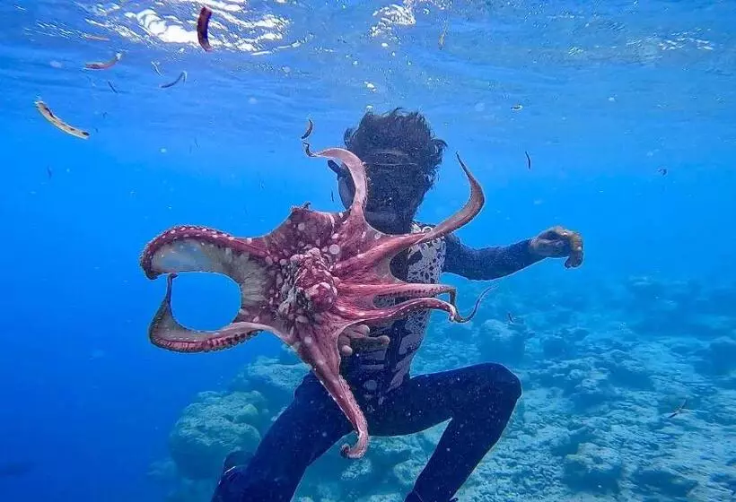 پانسیون Konut By Thakuru