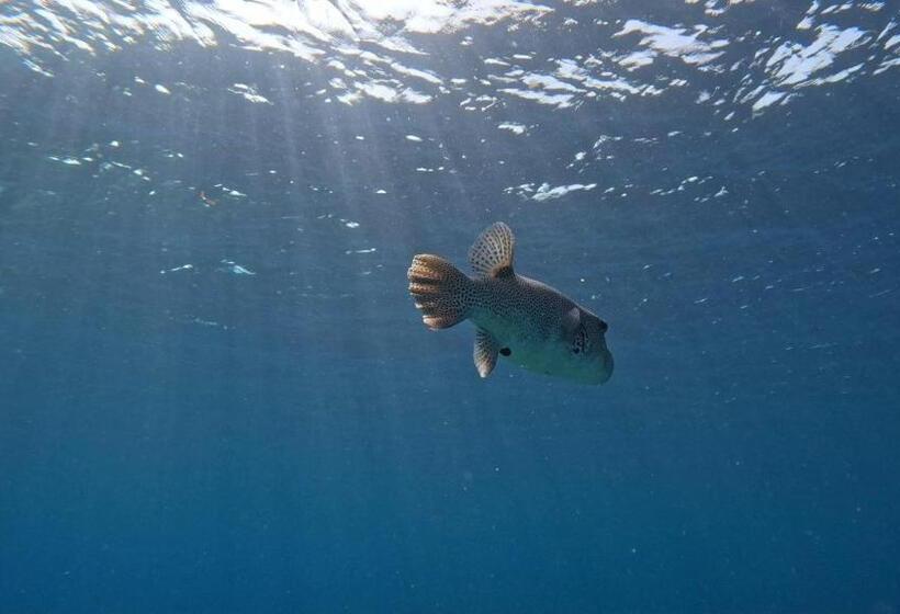 پانسیون Konut By Thakuru