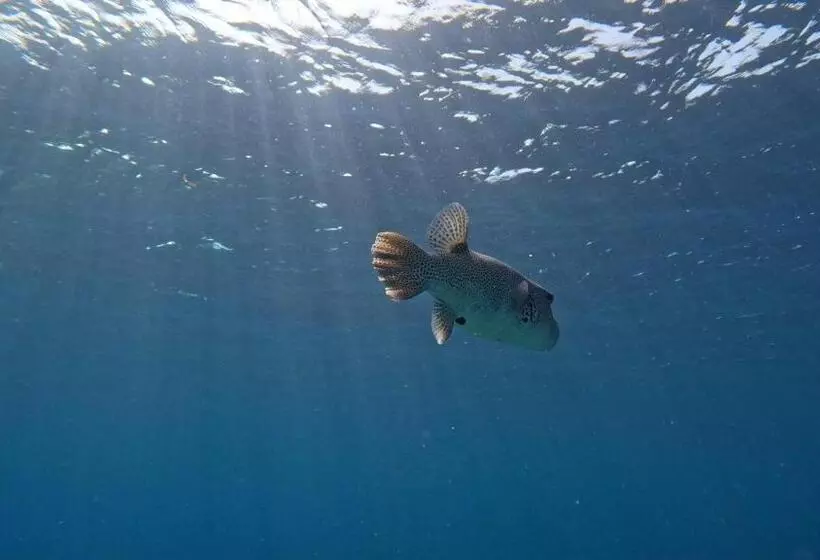 پانسیون Konut By Thakuru