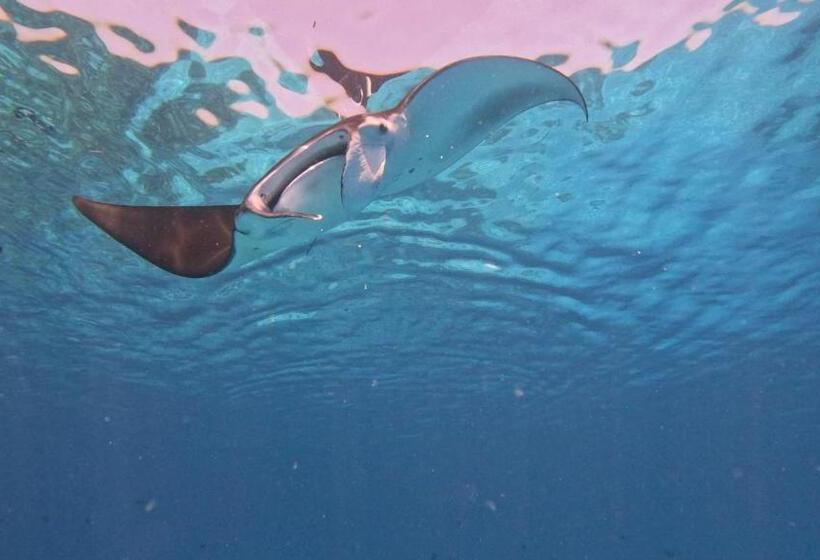 پانسیون Konut By Thakuru