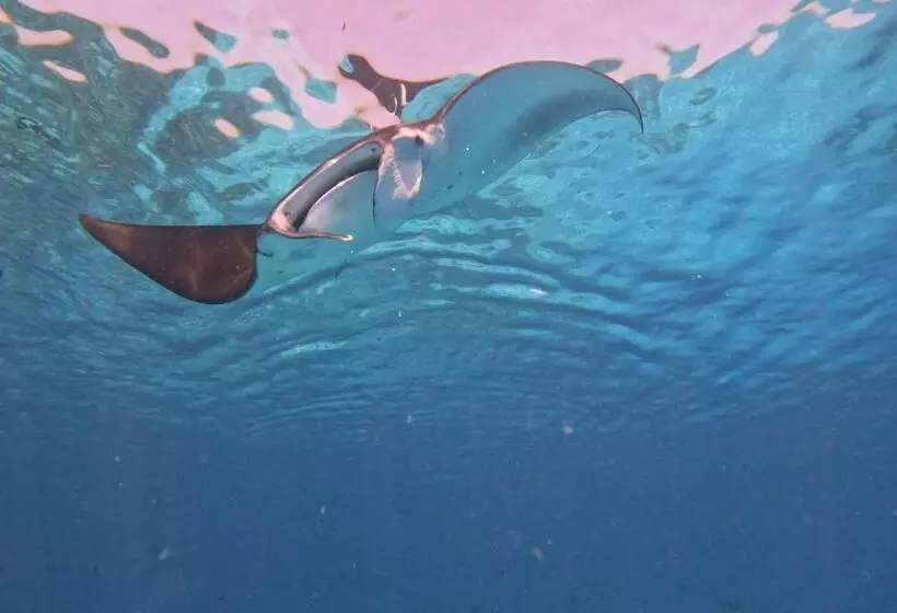 پانسیون Konut By Thakuru