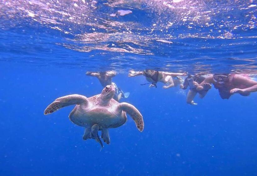 پانسیون Konut By Thakuru