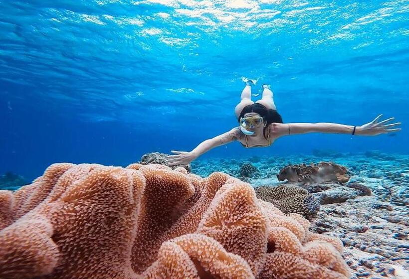 پانسیون Konut By Thakuru