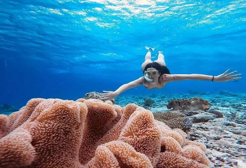 پانسیون Konut By Thakuru