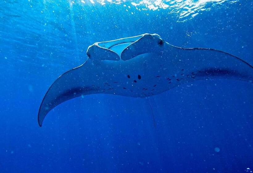 پانسیون Konut By Thakuru