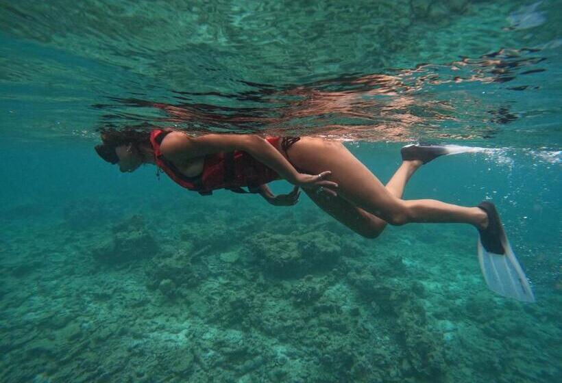 پانسیون Konut By Thakuru