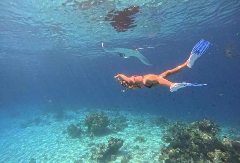 پانسیون Konut By Thakuru