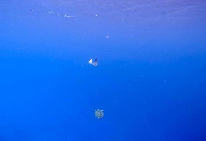 پانسیون Konut By Thakuru