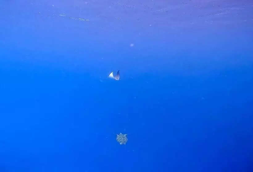 پانسیون Konut By Thakuru