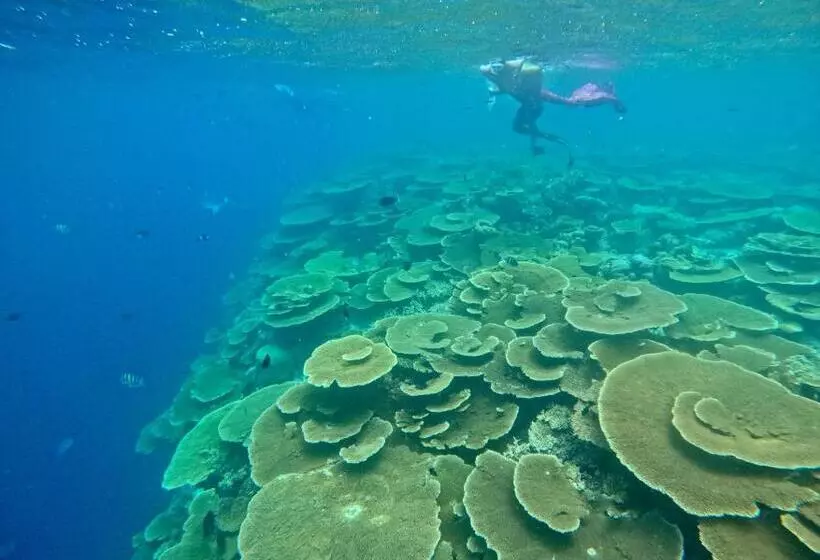 پانسیون Konut By Thakuru