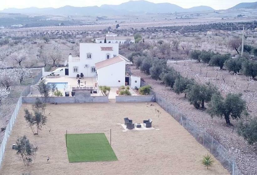 B&b Casa Blanca Oria