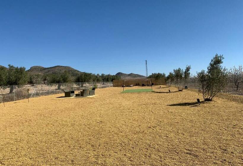 B&b Casa Blanca Oria