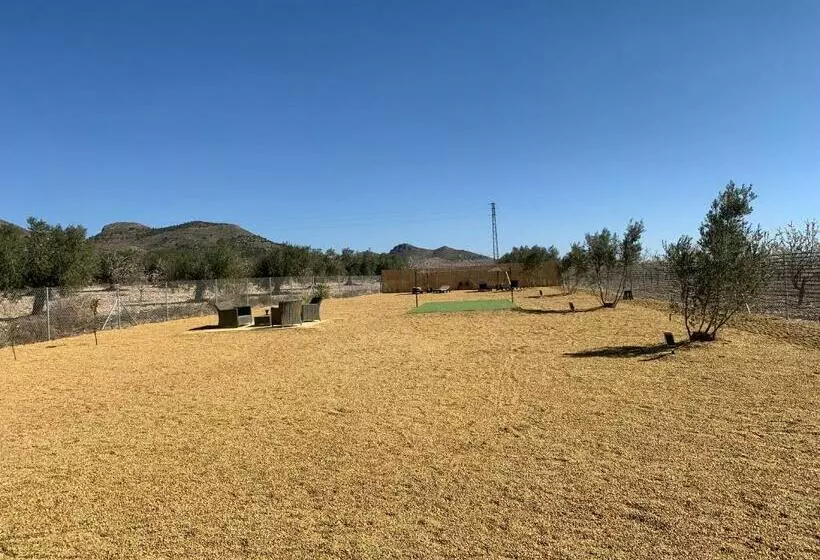 B&b Casa Blanca Oria