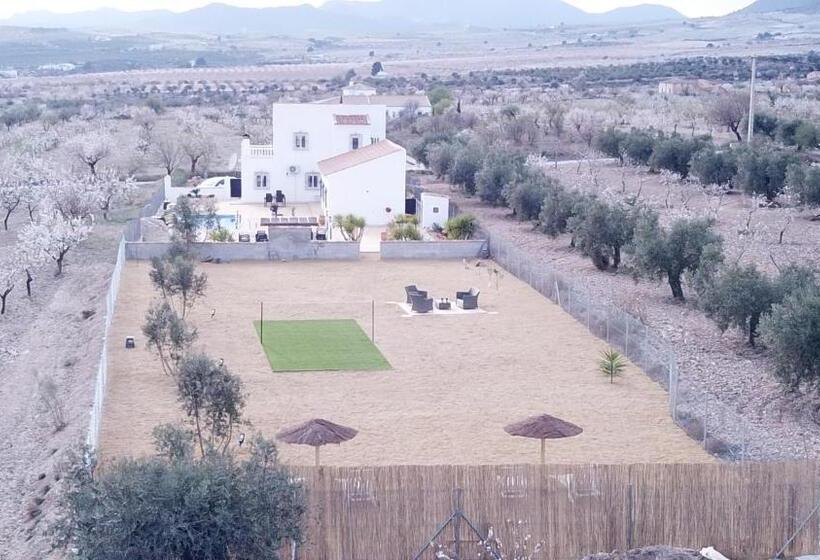 B&b Casa Blanca Oria