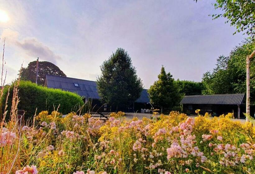 B&b Mooi Montferland