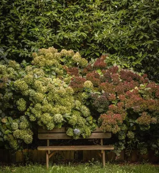 Aamiaismajoitus (B&B) Le Jardin Enchanteur, Chaleureuse Maison D Hôtes éco Responsable, Calme Et Accueillante