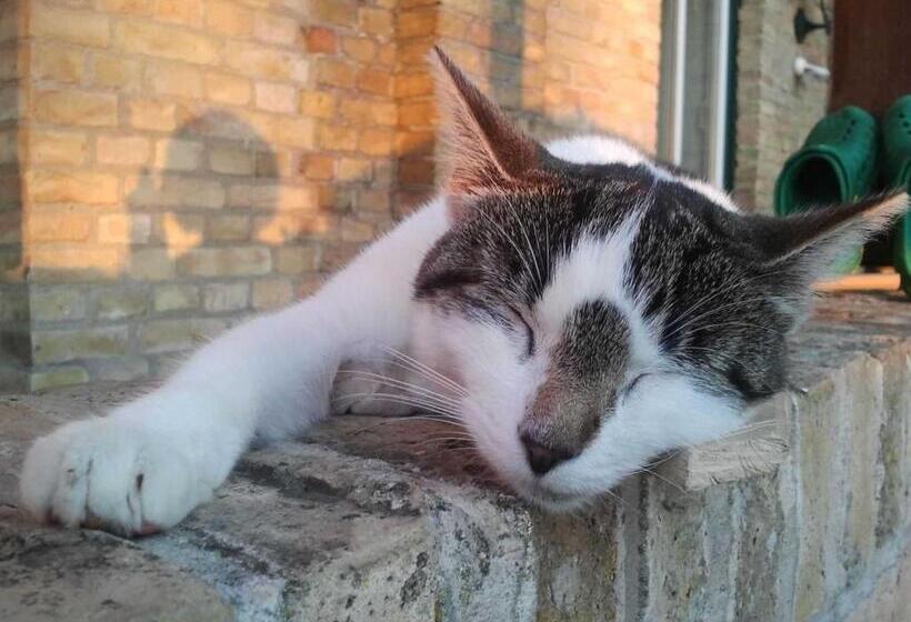 Отель Ferienwohnung Innenhof