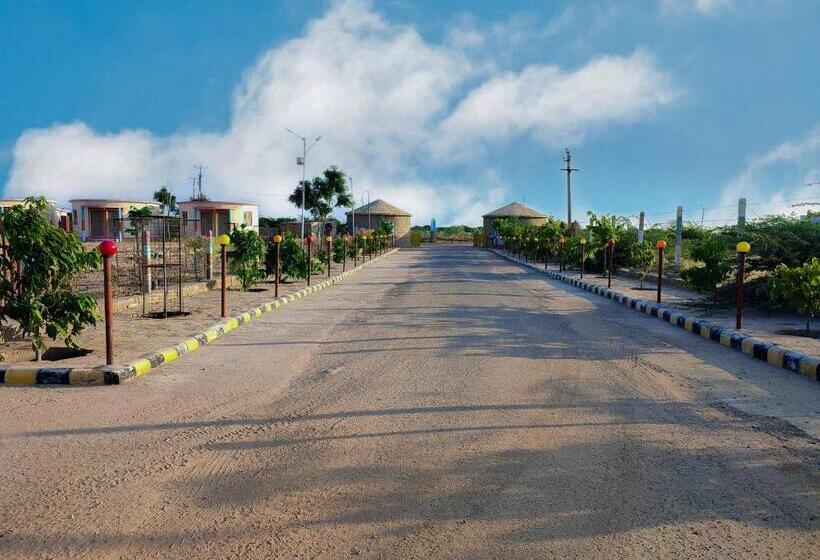 酒店 Rann Of Kachchh