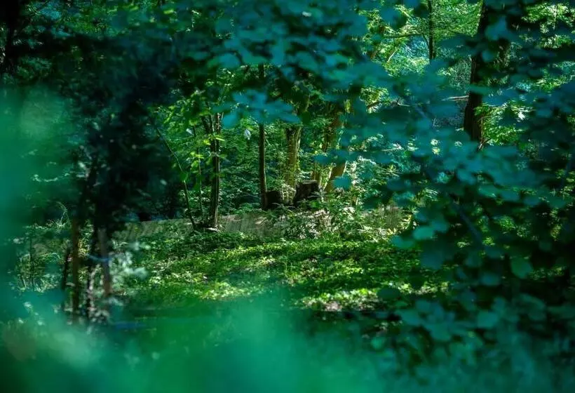 Hotelli The Canyon Kartepe And Restoran