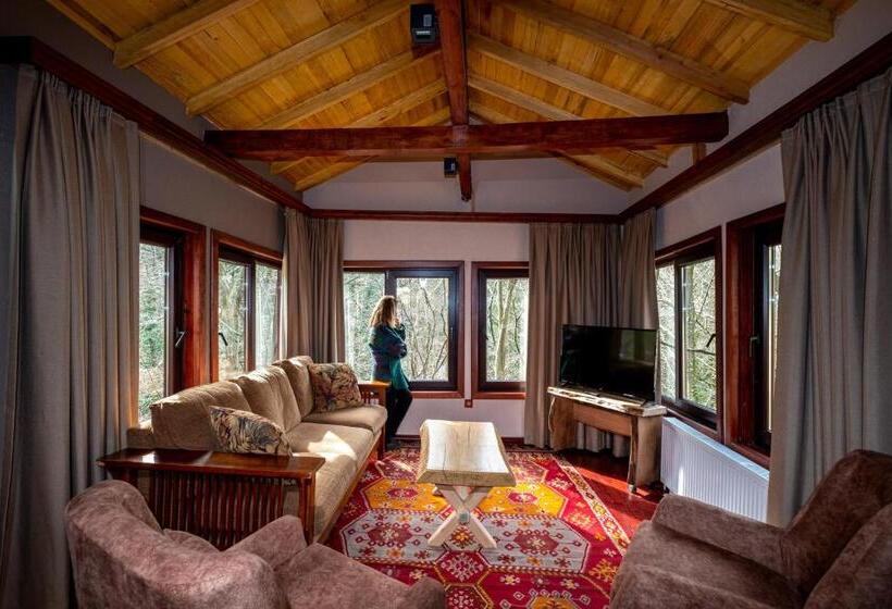 酒店 The Canyon Kartepe And Restoran