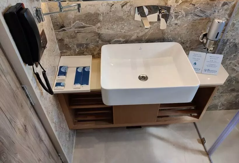 Hotelli Blueivy Anand