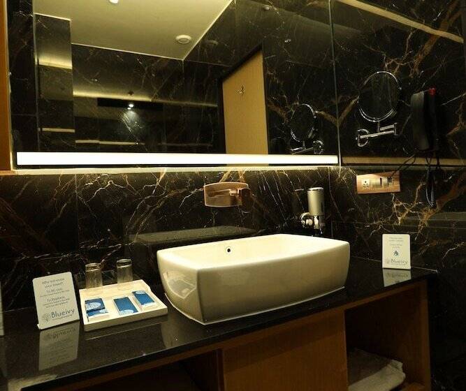 Hotel Blueivy Anand