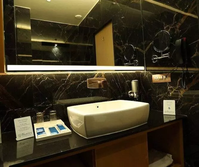 Hotelli Blueivy Anand