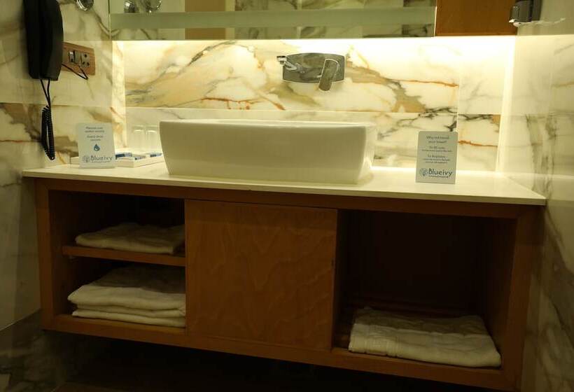 Hotel Blueivy Anand