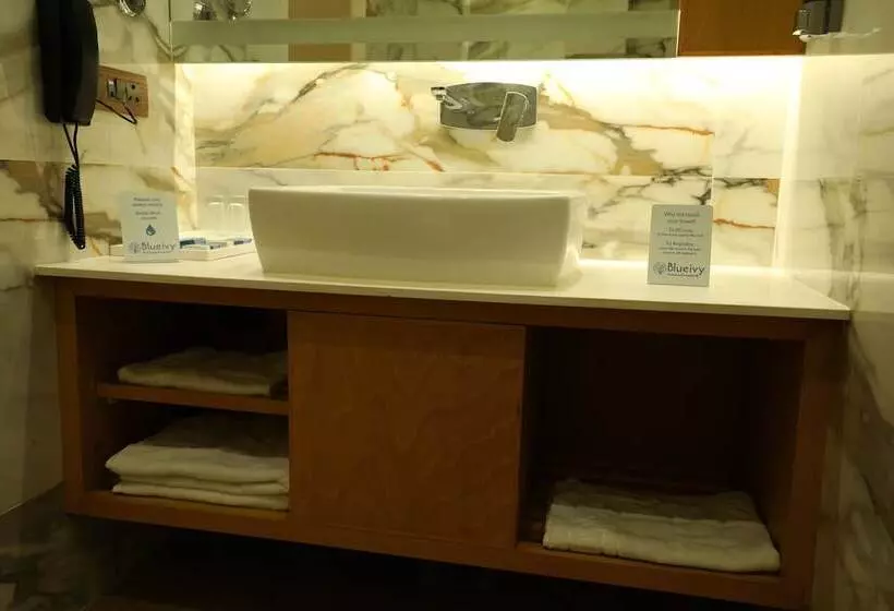 Hotelli Blueivy Anand